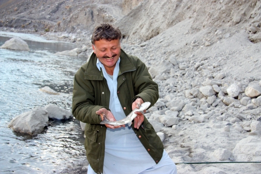 Ayub Ayub