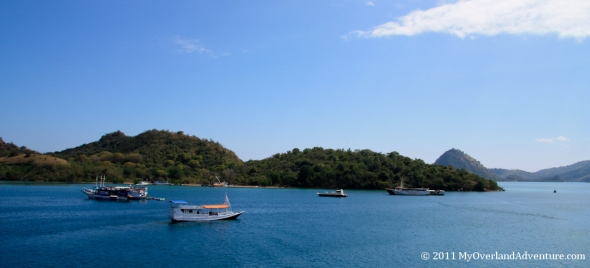 IMG_3302web IMG_3302web