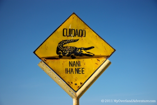 IMG_5731web IMG_5731web