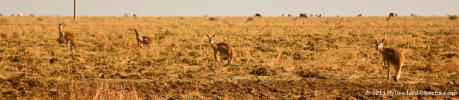 IMG_6963web IMG_6963web