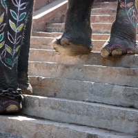 Walking down steps
