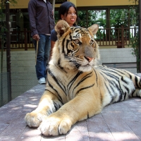 Thailand Part 2