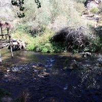 Ilhara river