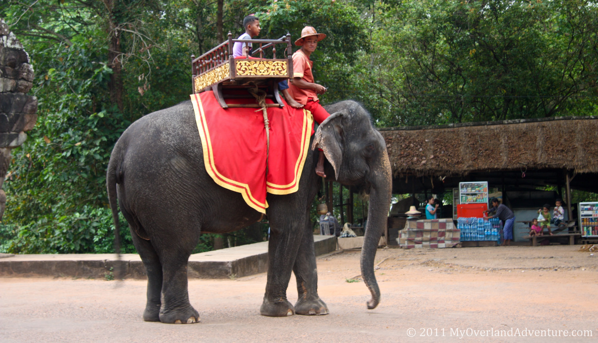 Elephant at Angkor Thom South Gate