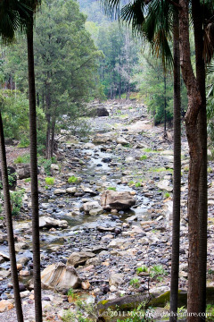 Carnarvon Creek