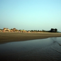 Morjim beach