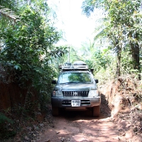 Driving through woods