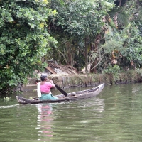 Kerala - Backwaters