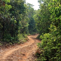 Narrow Track to Tat Katamtok Waterfall