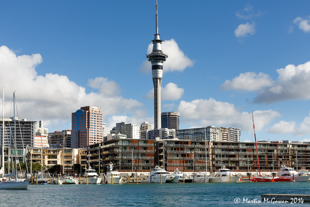 Auckland Marina & Sky Tower