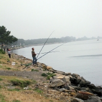 Fishermen - Quinta Do Cochel