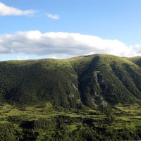 Pyrenees